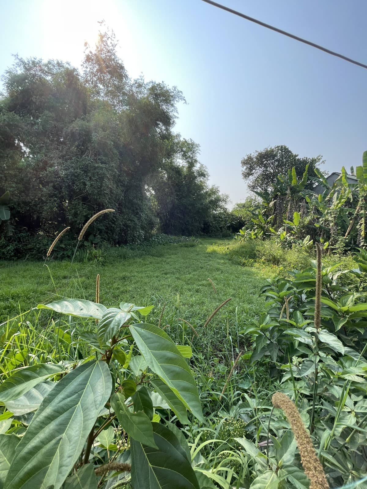 Đất 165m² mặt tiền 5m Thôn Hòa An, Điện Hồng, Điện Bàn, Điện Bàn — ô tô đỗ cửa, tiềm năng tăng giá