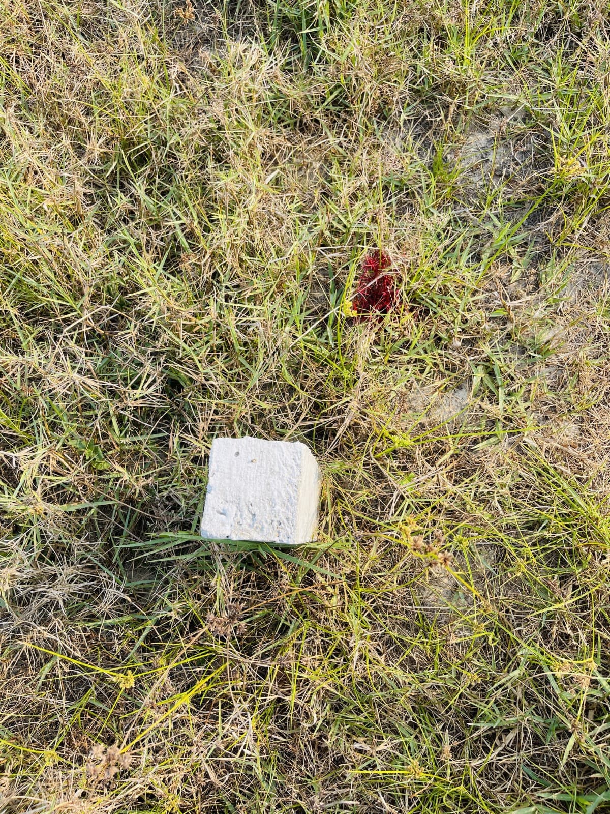 Đất 200m² mặt tiền 8m Trần Thủ Độ Đường số 23, Hội An — gần trường học, ô tô đỗ cửa, tiềm năng tăng giá, có dòng tiền