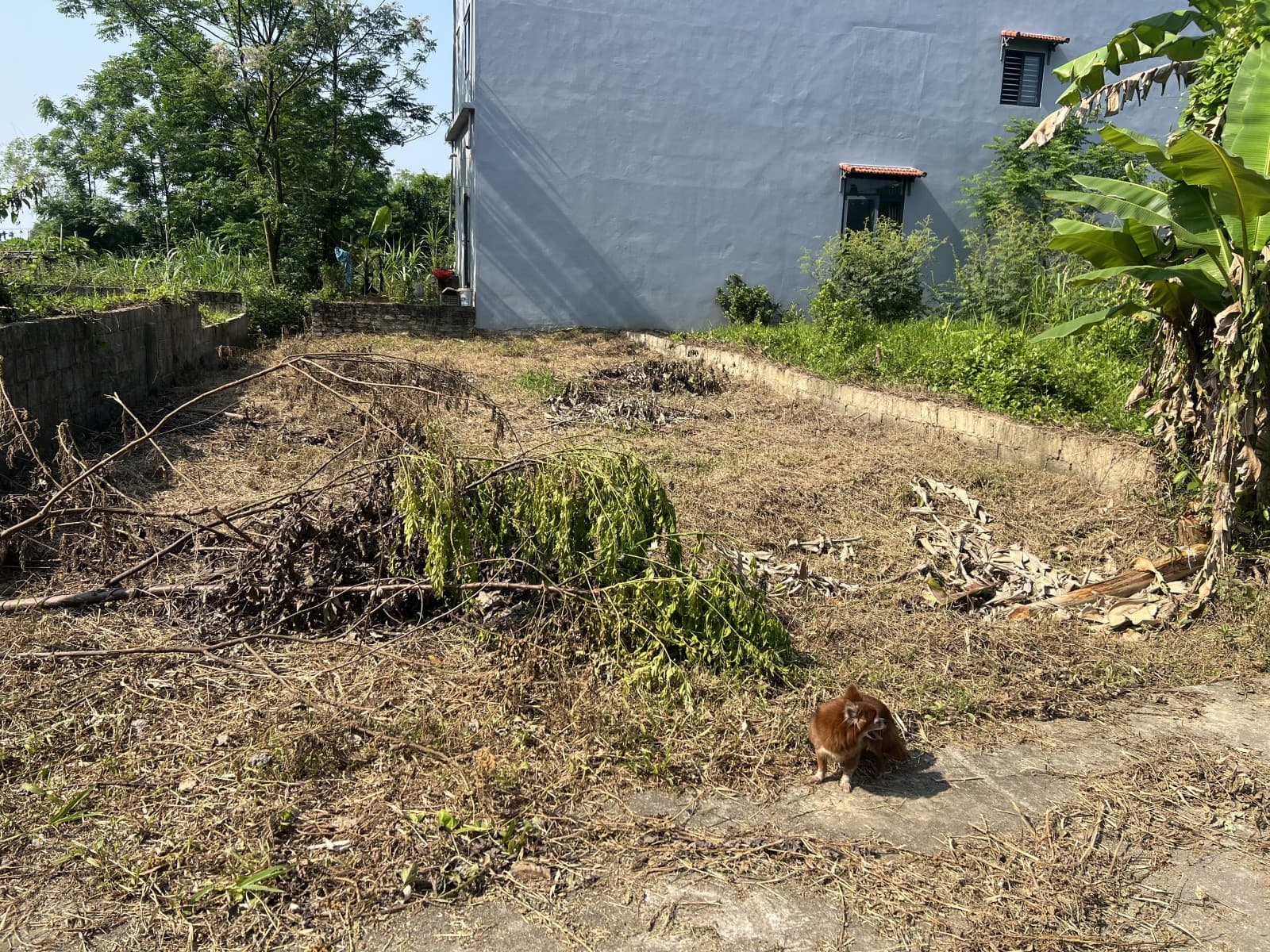 Đất 150m² mặt tiền 8m Thôn An Trạch Hoà Tiến, Hoà Vang — tiềm năng kinh doanh, ô tô đỗ cửa, tiềm năng tăng giá