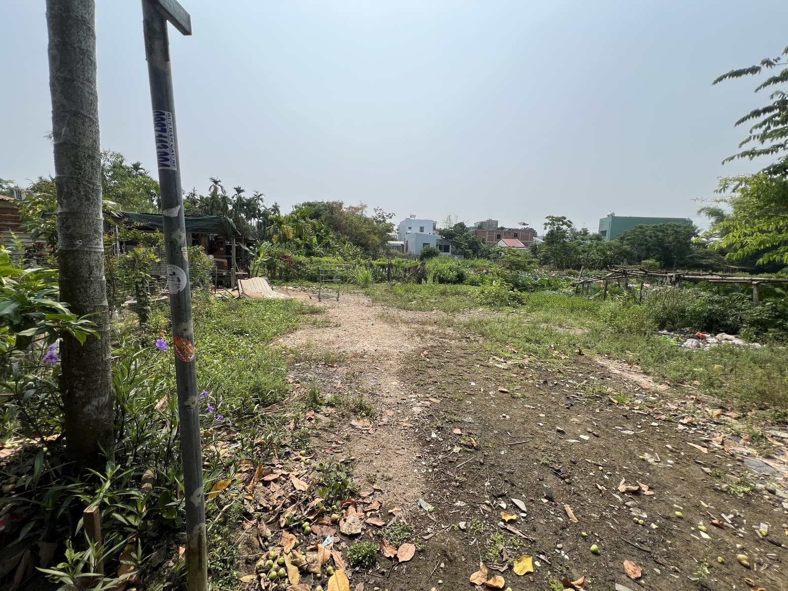 Đất 141m² mặt tiền 9.2m Nguyễn Như Đãi, Cẩm Lệ — gần trường học, ô tô đỗ cửa, tiềm năng tăng giá, có dòng tiền