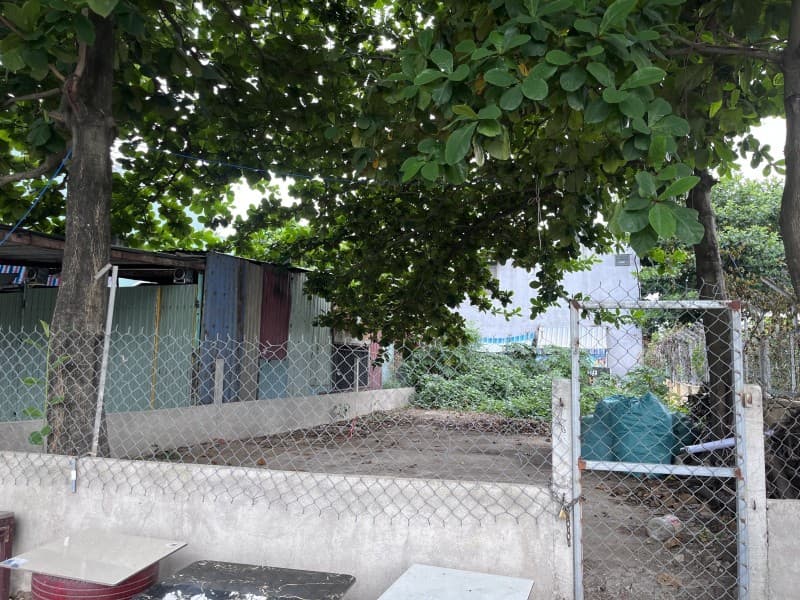 Đất 178.1m² mặt tiền 7.3m 111 Lê Đại Hành, Cẩm Lệ — tiềm năng kinh doanh, mặt tiền đường lớn