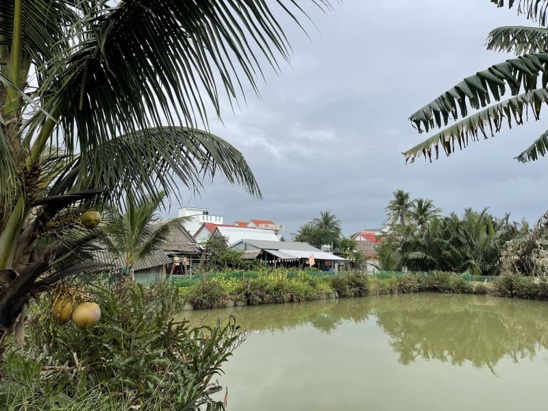 Đất 200.6m² mặt tiền 9.6m Cẩm Thanh, Hội An — tiềm năng kinh doanh, tiềm năng tăng giá, khai thác du lịch