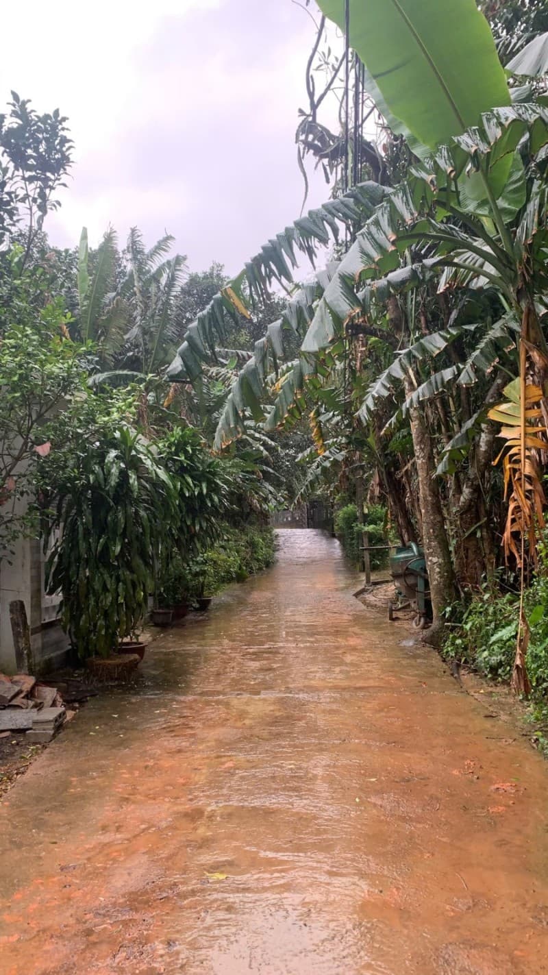 Đất 125m² mặt tiền 5m Xuân Phú, Hòa Khánh, Hoà Vang — ô tô đỗ cửa, tiềm năng tăng giá