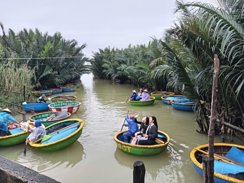 Nhà 202.7m² (1x202.7) Cẩm Thanh Hội An — view đẹp